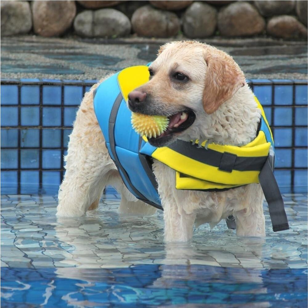 Dog Life Jacket with Removable Front Float & Handle, Adjustable Vest, Yellow, XL - Picture 6 of 6
